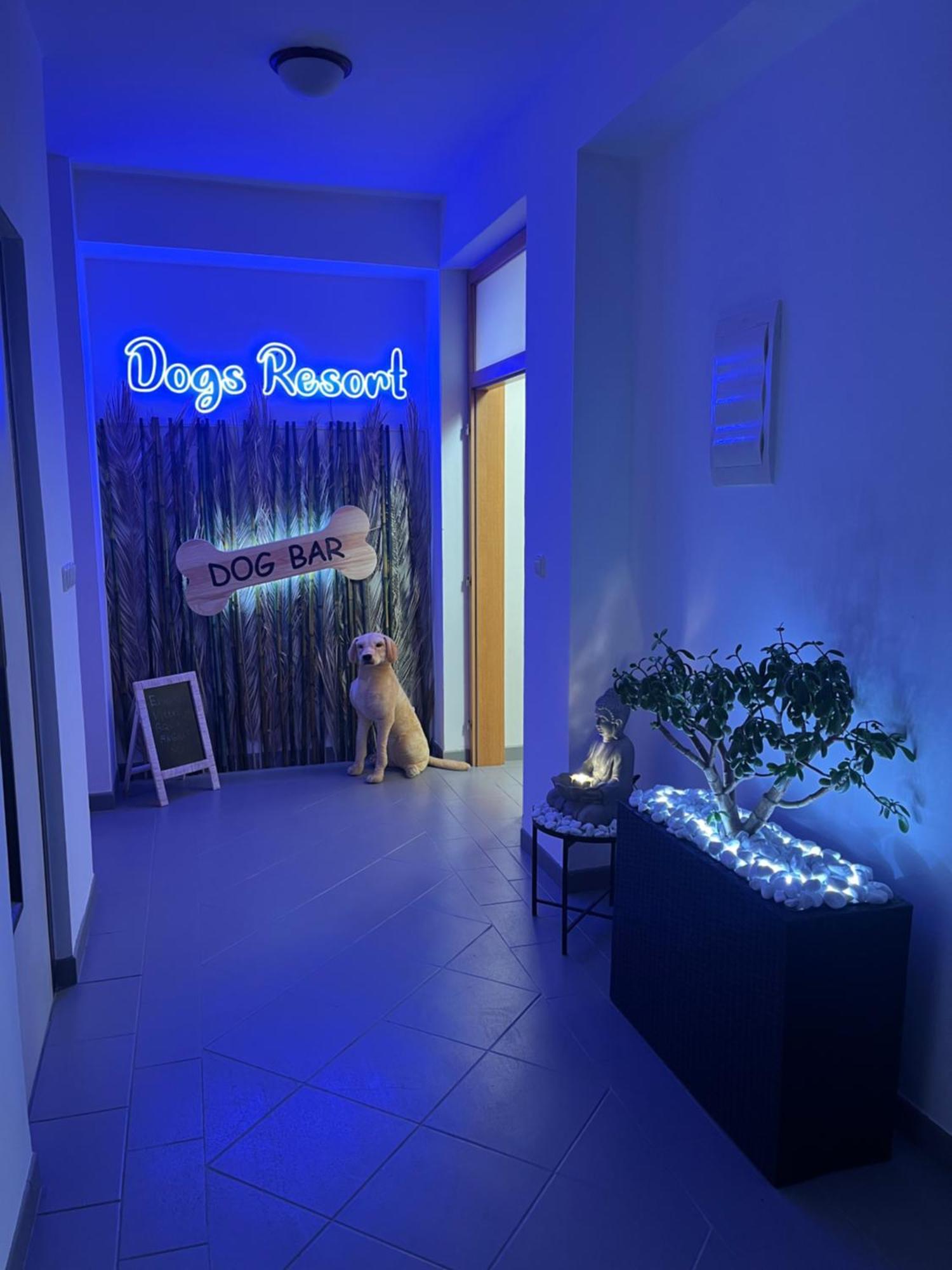 Dogs Resort And Spa Horni Bezdekov Exterior photo